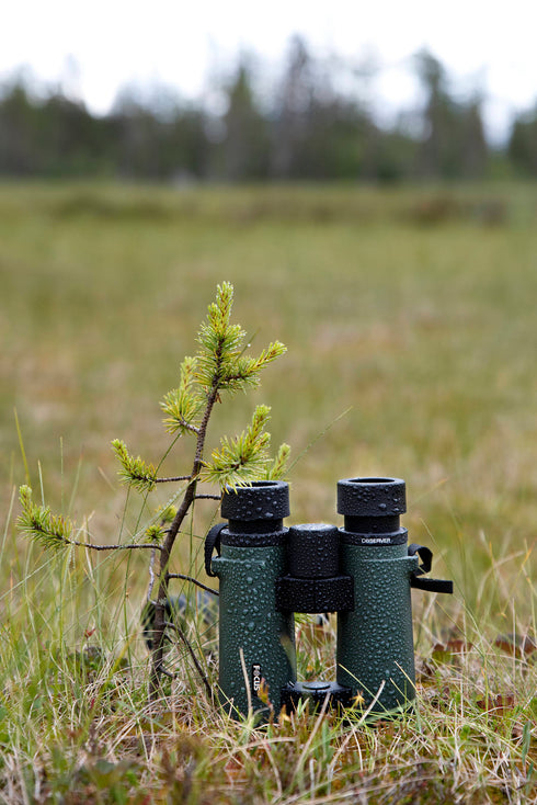 Focus Observer 10x42